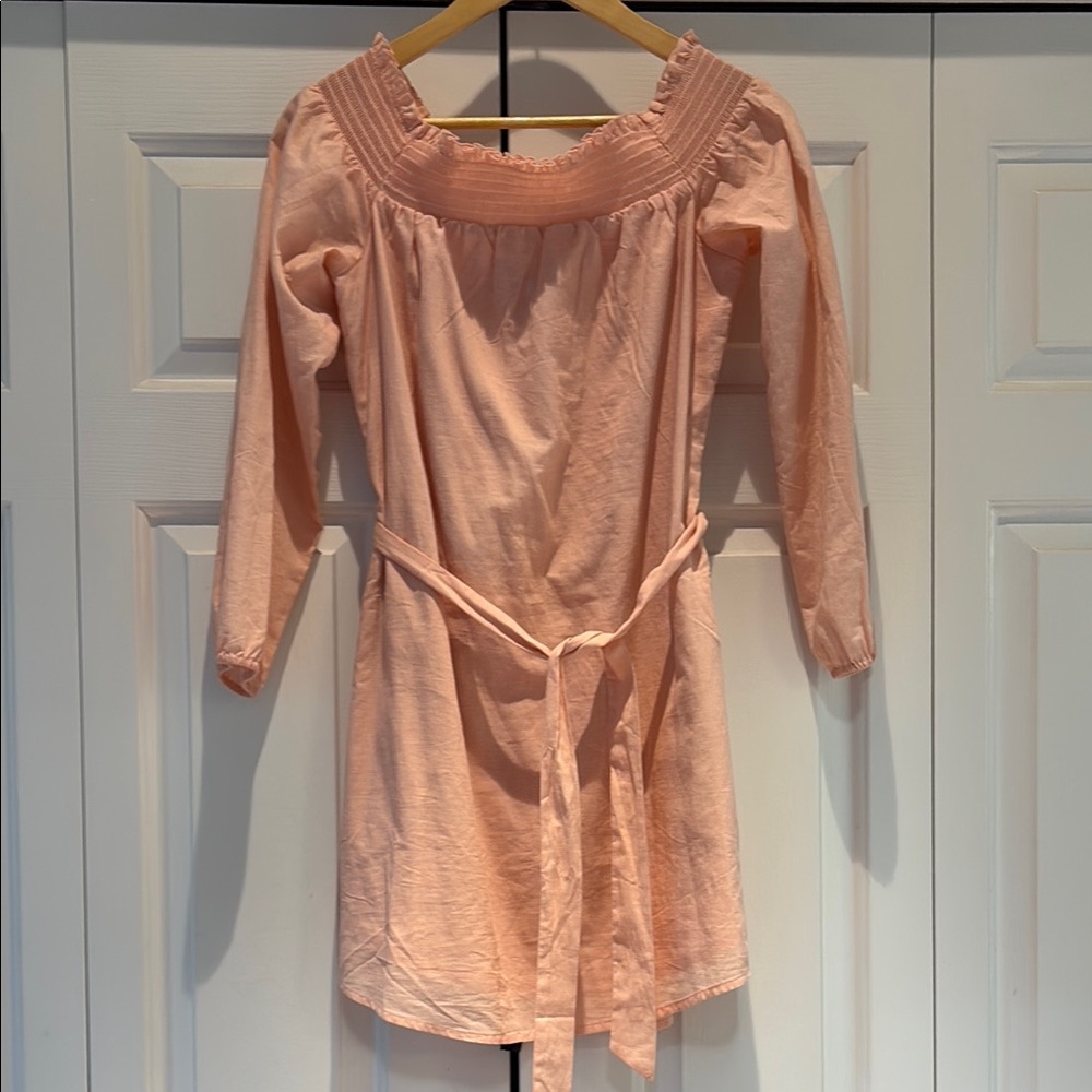 Express Blush Ruffle Detail Dress